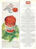 Life (1883-2000 Clair Maxwell/Life Publishing Company) Magazine Jun 16 1967