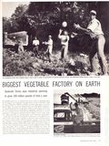 Life (1883-2000 Clair Maxwell/Life Publishing Company) Magazine Jan  3 1955
