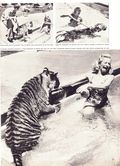 Life (1883-2000 Clair Maxwell/Life Publishing Company) Magazine Sep 6 1954