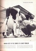 Life (1883-2000 Clair Maxwell/Life Publishing Company) Magazine Jul 5 1954