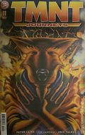 Teenage Mutant Ninja Turtles Journeys (2025 IDW) 11RI