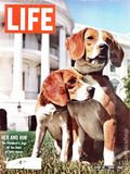 Life (1883-2000 Clair Maxwell/Life Publishing Company) Magazine Jun 19 1964