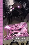 Teenage Mutant Ninja Turtles The IDW Collection TPB (2022 IDW) 10-1ST