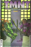 Teenage Mutant Ninja Turtles Journeys (2025 IDW) 8RI