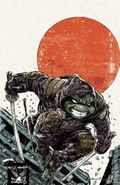 Teenage Mutant Ninja Turtles the Last Ronin the Lost Years (2022 IDW) 5MOSTWANTED