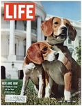 Life (1883-2000 Clair Maxwell/Life Publishing Company) Magazine Jun 19 1964