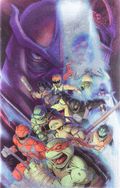 Mighty Morphin Power Rangers Teenage Mutant Ninja Turtles III (2025 Boom) 2H