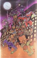 Mighty Morphin Power Rangers Teenage Mutant Ninja Turtles III (2025 Boom) 3H