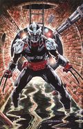 Teenage Mutant Ninja Turtles Shredder (2025 IDW) 10RIB