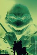 Teenage Mutant Ninja Turtles (2020 IDW) #1 Reprint 1TORPEDO.B