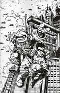 Teenage Mutant Ninja Turtles the Last Ronin Training Day (2026 IDW) 1RIC