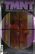 Teenage Mutant Ninja Turtles Journeys (2025 IDW) 6RIA