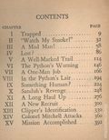 Skyroads with Clipper Williams of the Flying Legion (1938 Whitman BLB) 1439