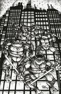 Teenage Mutant Ninja Turtles (2024 IDW) 20RIA