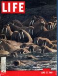 Life (1883-2000 Clair Maxwell/Life Publishing Company) Magazine Jun 27 1960