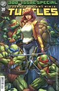 Teenage Mutant Ninja Turtles (2024 IDW) 20D