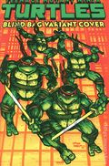 Teenage Mutant Ninja Turtles (2024 IDW) 20F