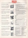Life (1883-2000 Clair Maxwell/Life Publishing Company) Magazine Nov 14 1955