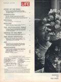 Life (1883-2000 Clair Maxwell/Life Publishing Company) Magazine Jun 23 1961