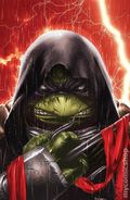 Teenage Mutant Ninja Turtles the Last Ronin (2020 IDW) 2UNKNOWN