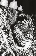 Horror of Godzilla (2026 IDW) Kai-Sei Era 1RIB