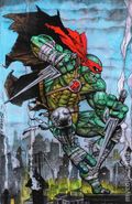Teenage Mutant Ninja Turtles (2011 IDW) Annual 2023JETPACK.A