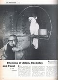 Life (1883-2000 Clair Maxwell/Life Publishing Company) Magazine Nov 20 1964