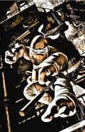 Teenage Mutant Ninja Turtles (2024 IDW) 2MAYHEW.B