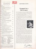 Life (1883-2000 Clair Maxwell/Life Publishing Company) Magazine Nov 19 1965