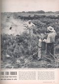Life (1883-2000 Clair Maxwell/Life Publishing Company) Magazine May 5 1952