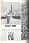 Life (1883-2000 Clair Maxwell/Life Publishing Company) Magazine Sep 15 1947