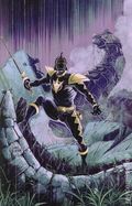 Power Rangers Green (2026 Boom) 1C