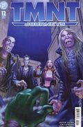 Teenage Mutant Ninja Turtles Journeys (2025 IDW) 12A
