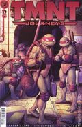 Teenage Mutant Ninja Turtles Journeys (2025 IDW) 12B