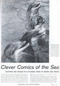 Life (1883-2000 Clair Maxwell/Life Publishing Company) Magazine Feb 16 1959