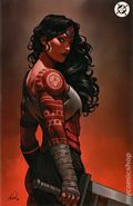 Absolute Wonder Woman (2024 DC) 19THE616.B
