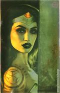 Absolute Wonder Woman (2024 DC) 17THE616.C