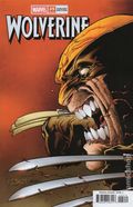 Wolverine (2024 Marvel) 25G