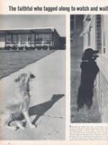 Life (1883-2000 Clair Maxwell/Life Publishing Company) Magazine Sep 28 1962