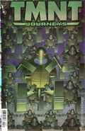 Teenage Mutant Ninja Turtles Journeys (2025 IDW) 9RI