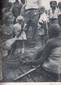 Life (1883-2000 Clair Maxwell/Life Publishing Company) Magazine Sep 15 1961