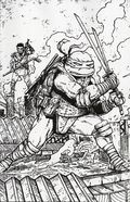 Teenage Mutant Ninja Turtles (2024 IDW) 21RIA