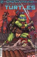 Teenage Mutant Ninja Turtles (2024 IDW) 21B