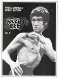 Legend of Bruce Lee (1983 L. A. Times Syndicate) Nostalgiaworld Comic Section 2