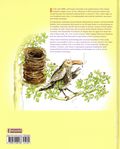 Grifters, Floaters and Punks HC (2026 FB) A Reimagined Field Guide for the 50 State Birds 1-1ST