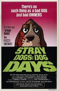 Stray Dogs Dog Days (2021 Image) 1AMKM