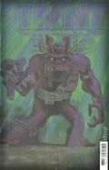 Teenage Mutant Ninja Turtles Journeys (2025 IDW) 13RI
