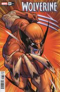Wolverine (2024 Marvel) 27D