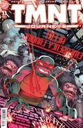 Teenage Mutant Ninja Turtles Journeys (2025 IDW) 13B