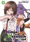 A Ninja and an Assassin Under One Roof GN (2025 Seven Seas) 4-1ST